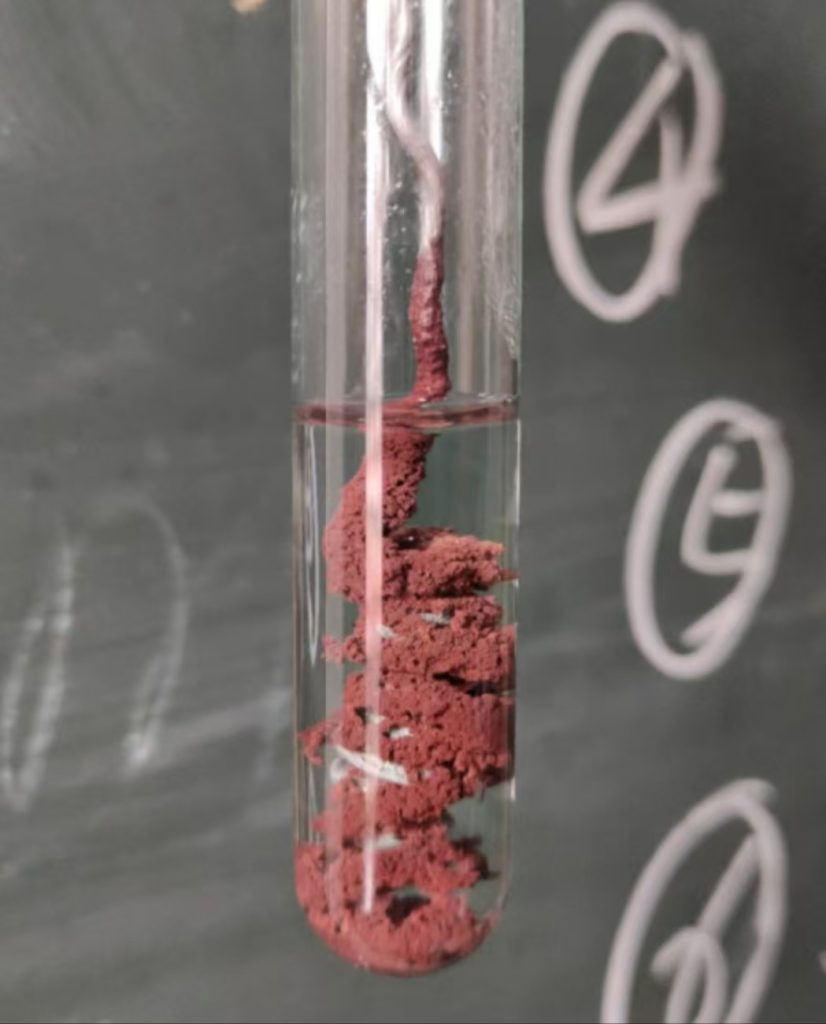 Sulfuric acid corrodes stainless steel